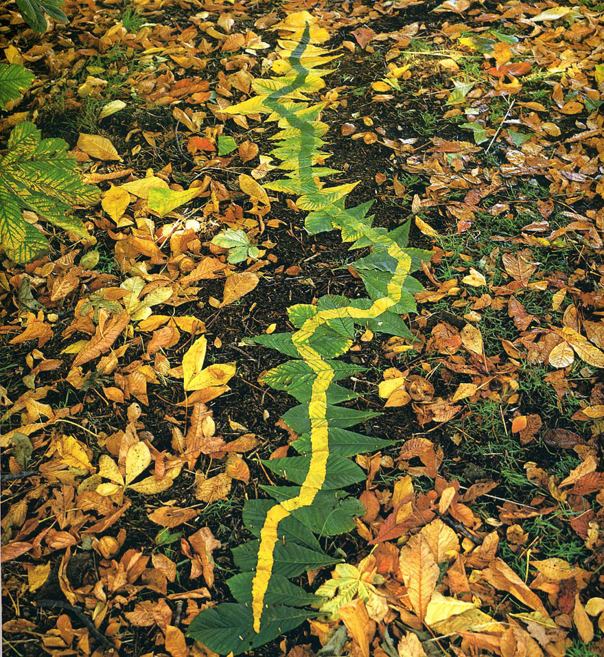 land-art-andy-goldsworthy-5