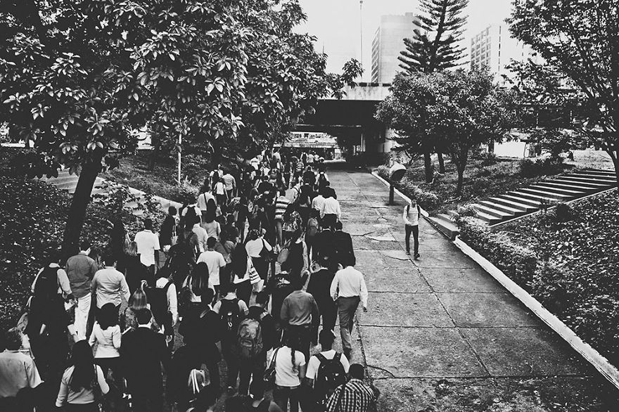 A Visual Interpretation Of "make Your Own Path"