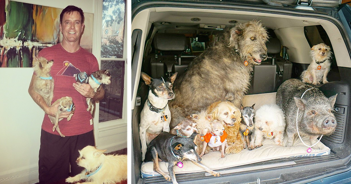 Man Devotes His Life To Adopting Old Dogs Who Can’t Find Forever Homes
