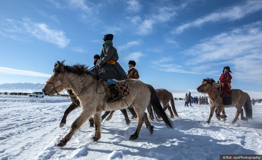 Moments From Camel Race From Silver Reeds Winter Festival In Mongolia Moments From Camel Race From Silver Reeds Winter Festival In Mongolia