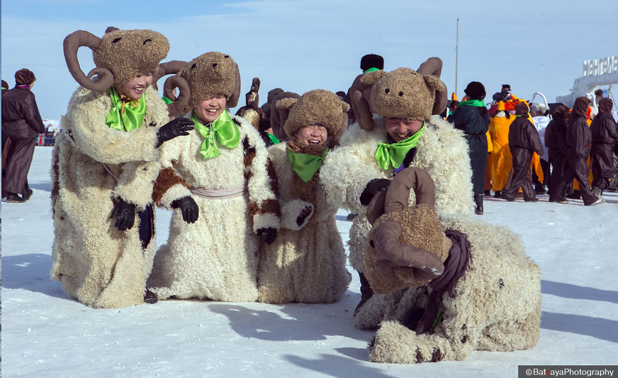 Moments From Camel Race From Silver Reeds Winter Festival In Mongolia Moments From Camel Race From Silver Reeds Winter Festival In Mongolia