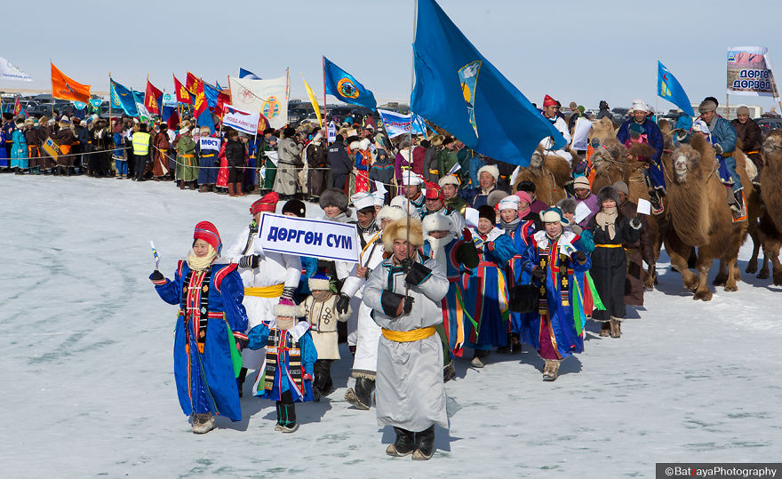 Moments From Camel Race From Silver Reeds Winter Festival In Mongolia Moments From Camel Race From Silver Reeds Winter Festival In Mongolia