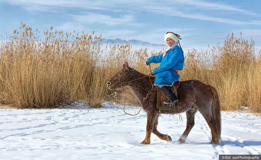 Moments From Camel Race From Silver Reeds Winter Festival In Mongolia Moments From Camel Race From Silver Reeds Winter Festival In Mongolia