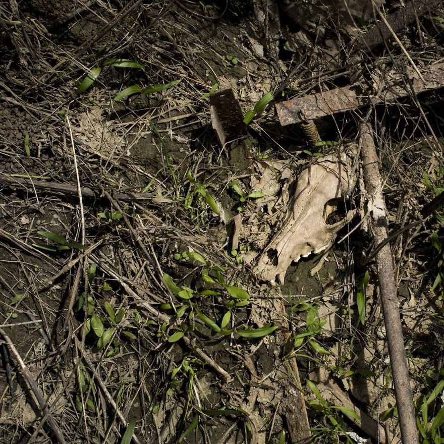 My Greyhound And I Have Set Out To Change The Destiny That This Breed Suffers In Spain My Greyhound And I Have Set Out To Change The Destiny That This Breed Suffers In Spain