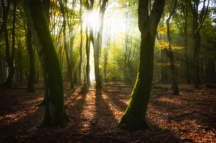 My Home, The Netherlands In 40 Beautiful Photos