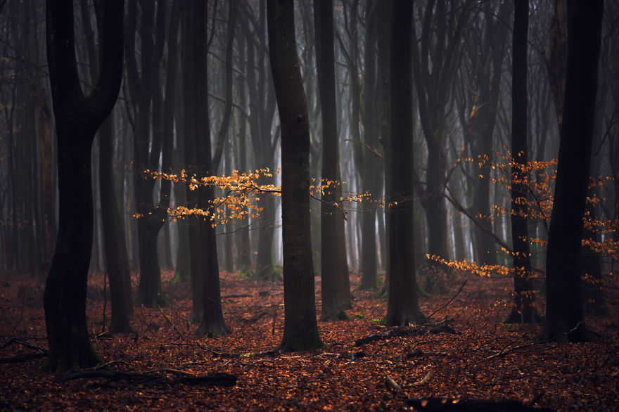 My Home, The Netherlands In 40 Beautiful Photos