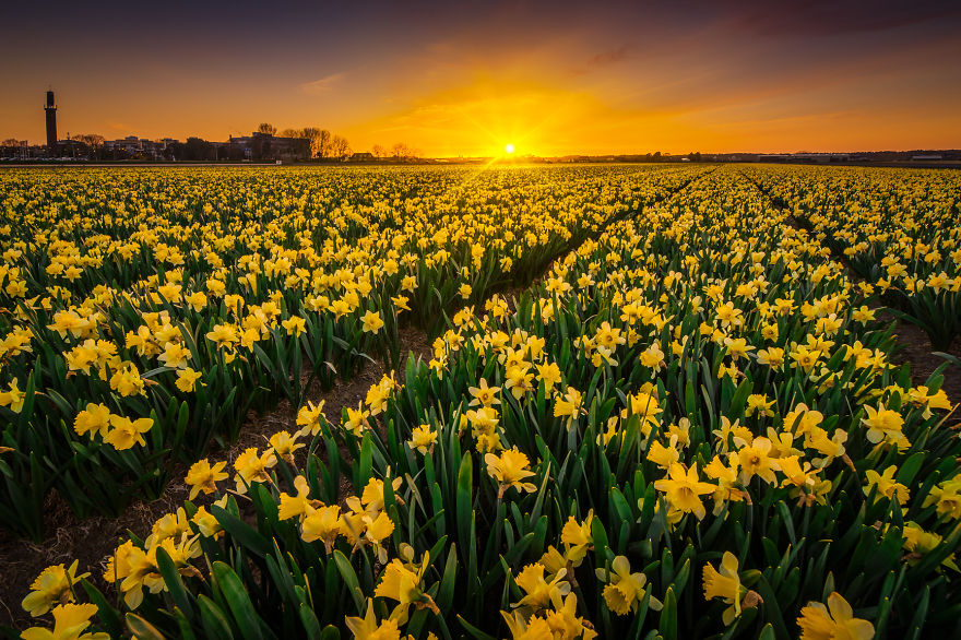 My Home, The Netherlands In 40 Beautiful Photos