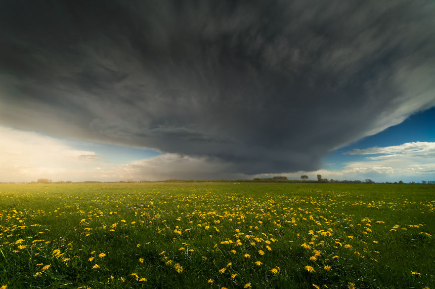 My Home, The Netherlands In 40 Beautiful Photos