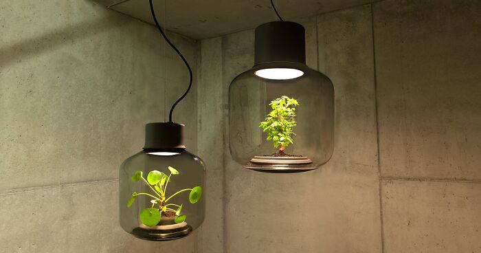 We Designed These Lamps To Grow Plants In Windowless Spaces