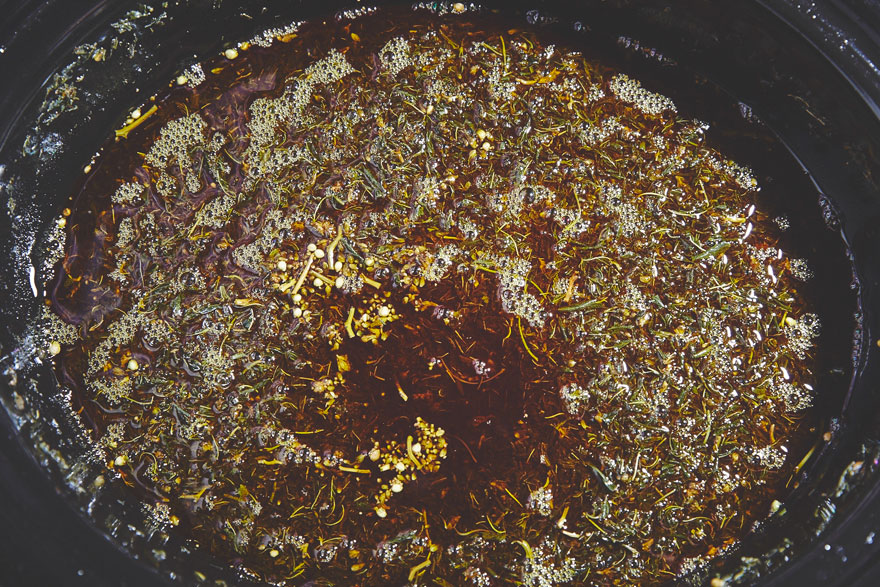 nuns-grow-marjuana-sisters-of-the-valley-shaughn-crawford-john-dubois-17