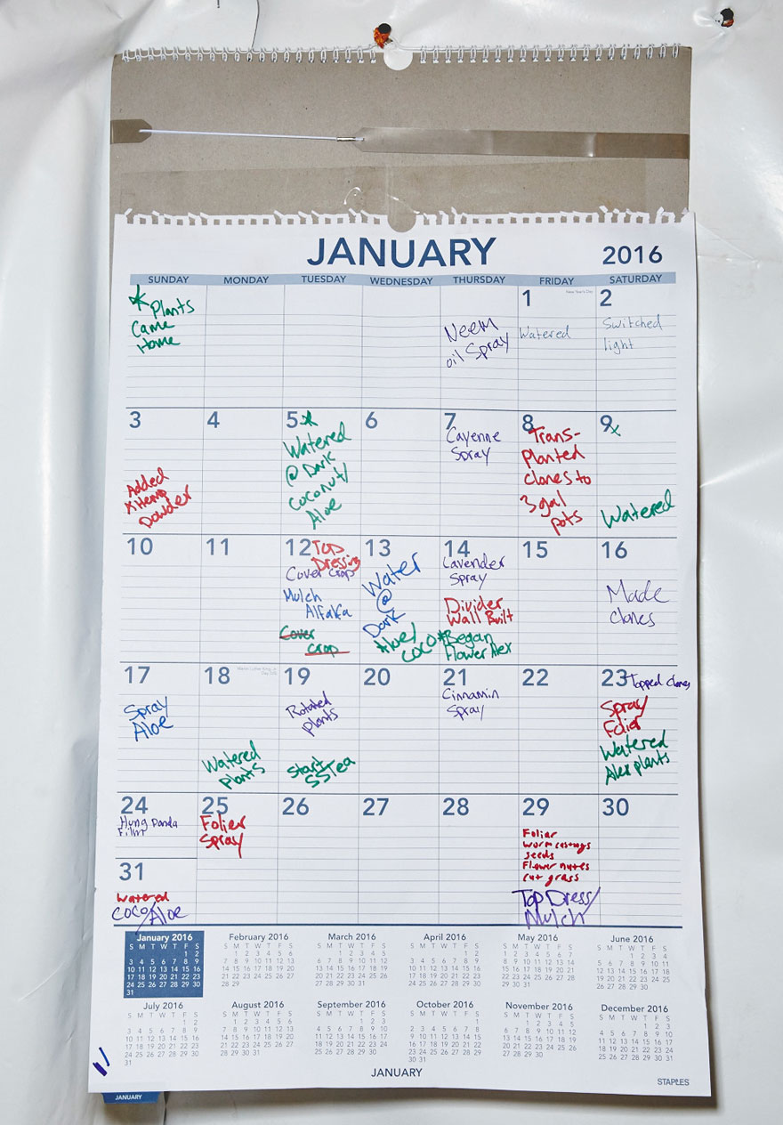 nuns-grow-marjuana-sisters-of-the-valley-shaughn-crawford-john-dubois-21