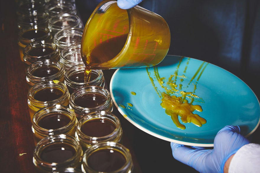 nuns-grow-marjuana-sisters-of-the-valley-shaughn-crawford-john-dubois-8