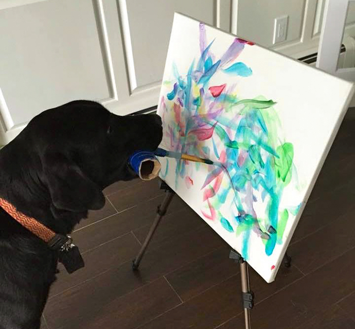 Meet Dogvinci, The Painting Dog That Sells His Art For Good Money