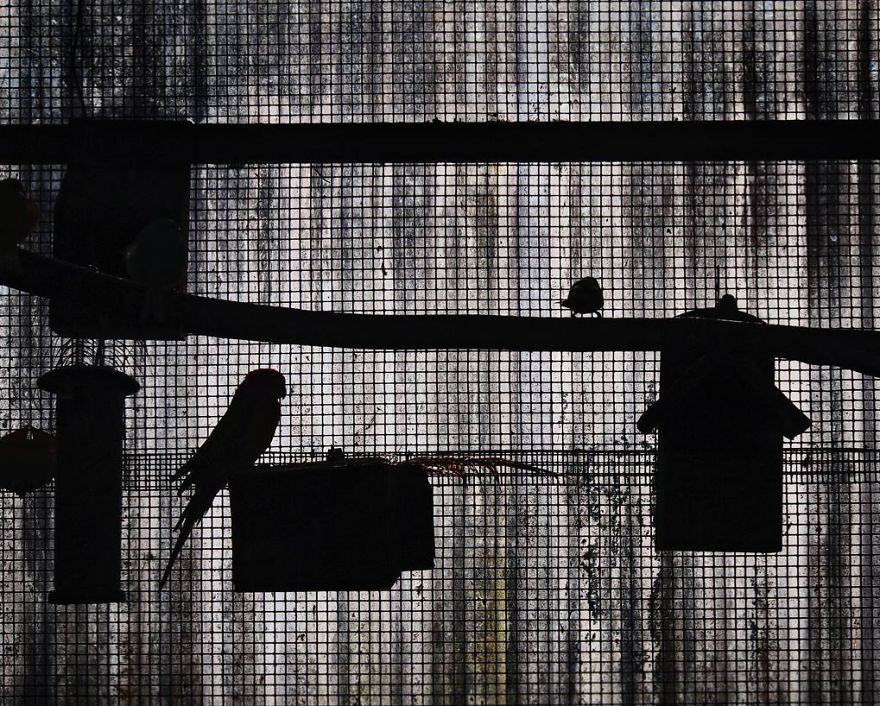 Painting Techniques From The Renaissance Inspire My Photography.