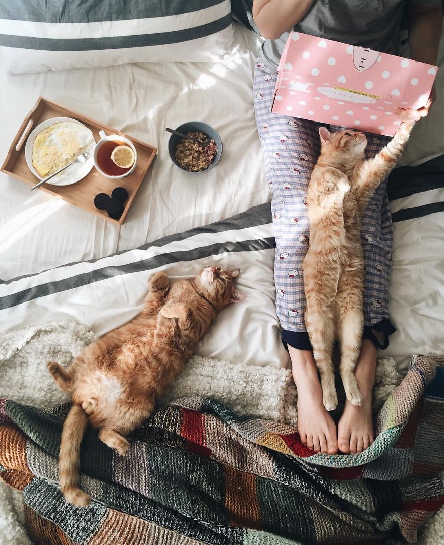 Pair Of Rescued Kittens Are Inseparable And Utterly Adorable