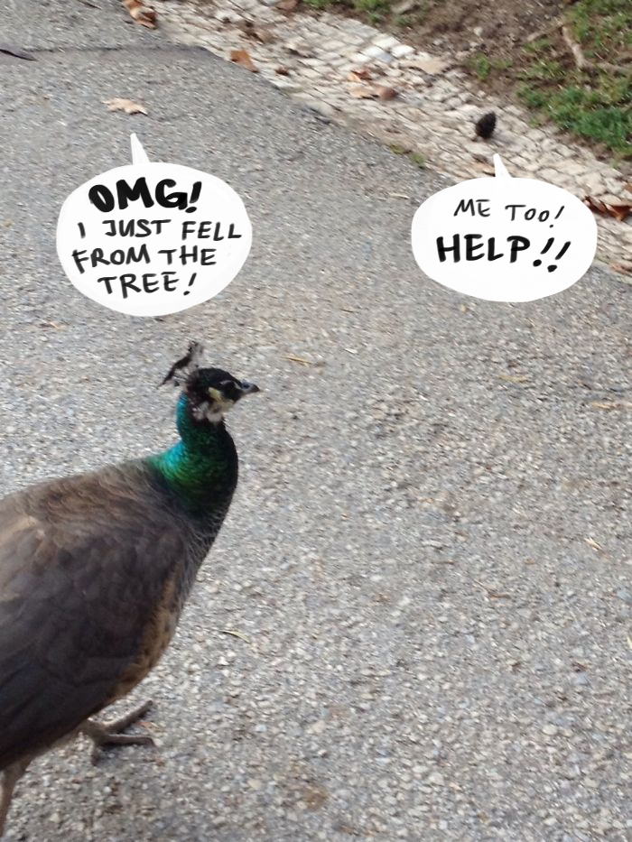 Life Is Hard, Nobody Cares.