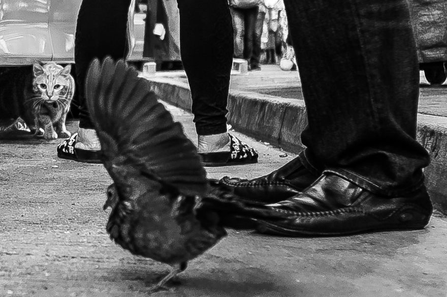 I Shoot People In The Street And Like To Watch Through My Camera The Human Expressions