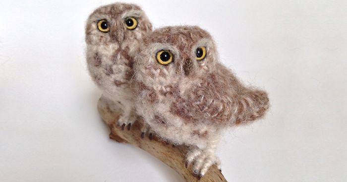 I Make Realistic Crocheted Birds Out Of Wool