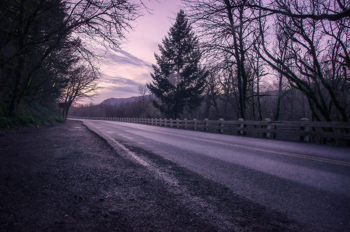 The Gorge And It’s Beauty (from A Tiny Flower, A Big Water Fall Or An Amazing View)