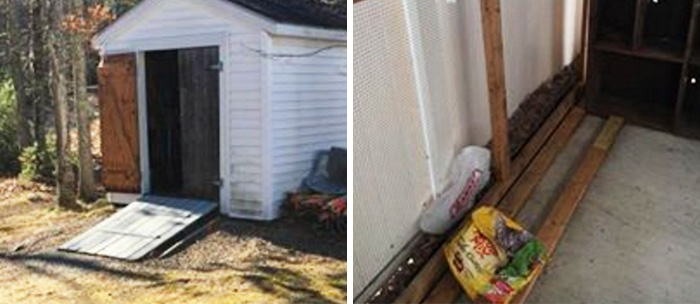 robbed-shelter-food-animal-rescue-league-new-hampshire-8 robbed-shelter-food-animal-rescue-league-new-hampshire-8