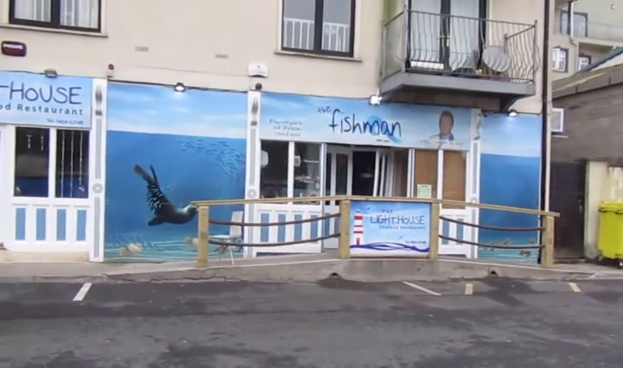 seal-crosses-road-seafood-restaurant-sammy-ireland-7