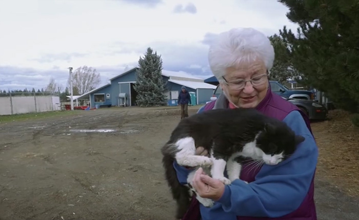 shelter-cats-work-job-farm-livin-5 shelter-cats-work-job-farm-livin-5