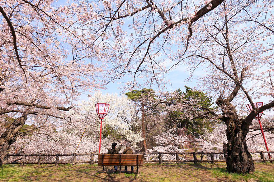 spring-japan-cherry-blossoms-national-geographics-16 spring-japan-cherry-blossoms-national-geographics-16