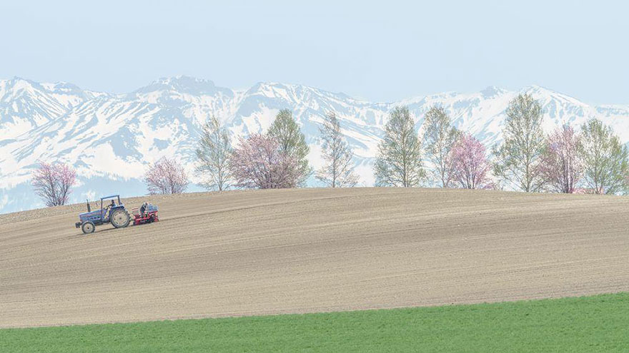 spring-japan-cherry-blossoms-national-geographics-18 spring-japan-cherry-blossoms-national-geographics-18