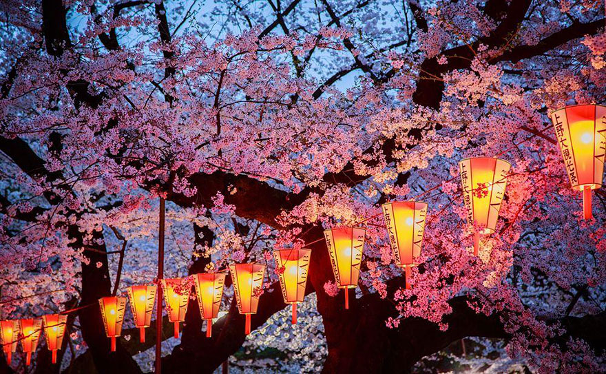 spring-japan-cherry-blossoms-national-geographics-21 spring-japan-cherry-blossoms-national-geographics-21