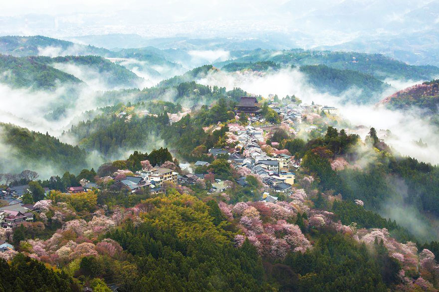 spring-japan-cherry-blossoms-national-geographics-24 spring-japan-cherry-blossoms-national-geographics-24