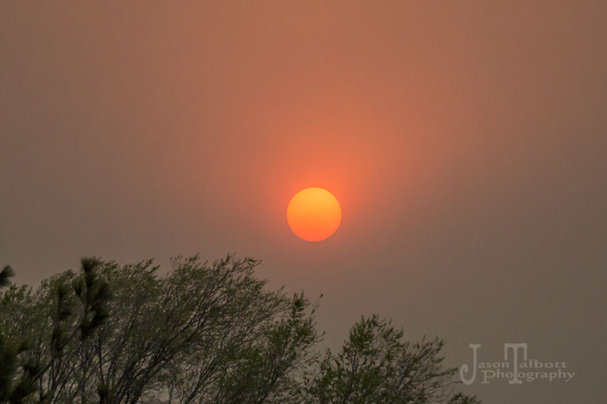 Wildfires Caused This Surreal B&w Of The Sun