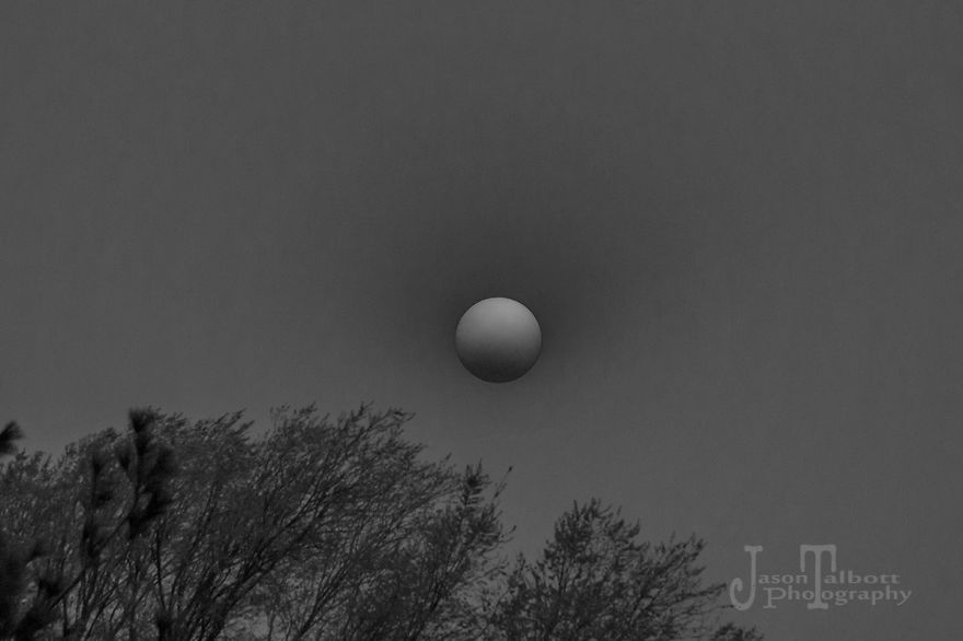 Wildfires Caused This Surreal B&w Of The Sun