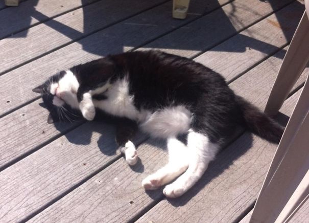 Jerry's All Smiles...