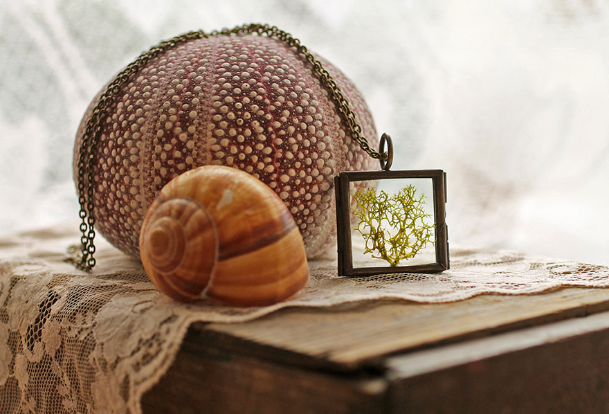 terrarium-jewelry-microcosm-ruby-robin-boutique-17 terrarium-jewelry-microcosm-ruby-robin-boutique-17