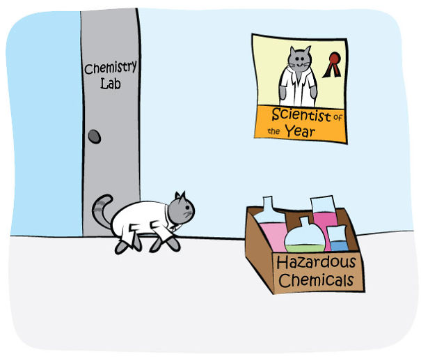 The Adventures Of A Science Cat