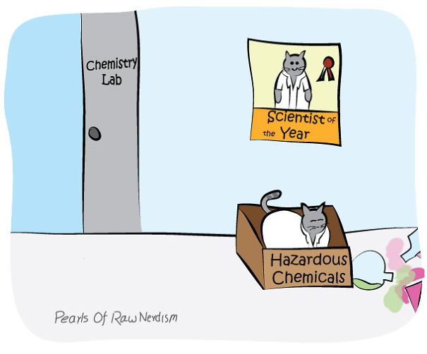 The Adventures Of A Science Cat