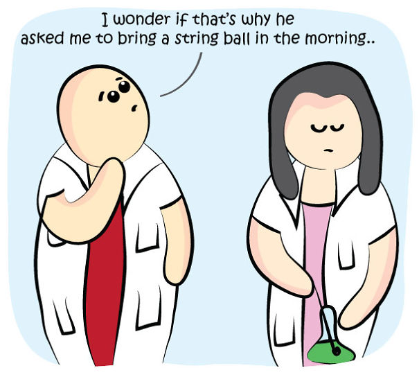 The Adventures Of A Science Cat