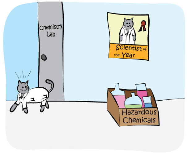 The Adventures Of A Science Cat