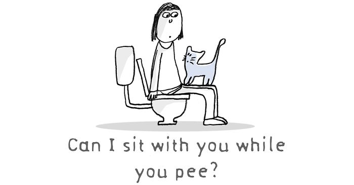 11 Questions That Cats Ask