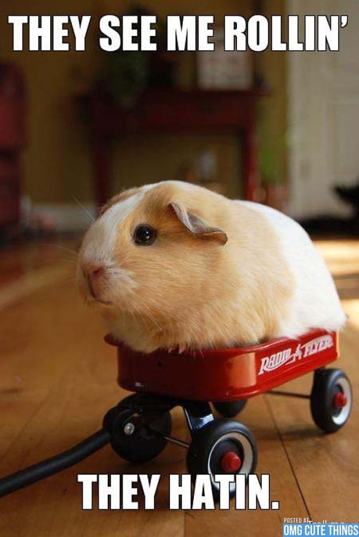 These Memes Will Make You Laugh 2.0