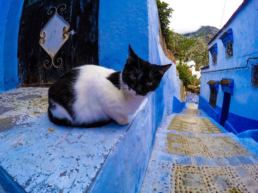 This Couple&rsquo;s Travel Story Told Through A Gopro