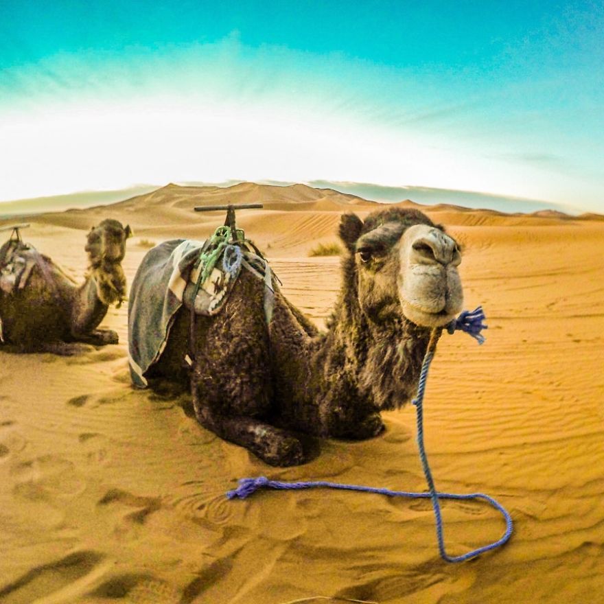 This Couple&rsquo;s Travel Story Told Through A Gopro