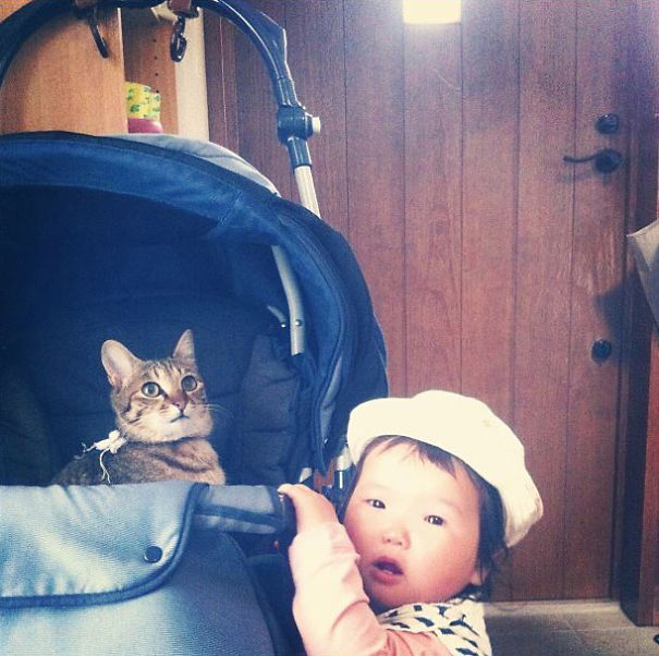 This Japanese Cat Is The Best Sleeping Buddy For His Baby Hoomins