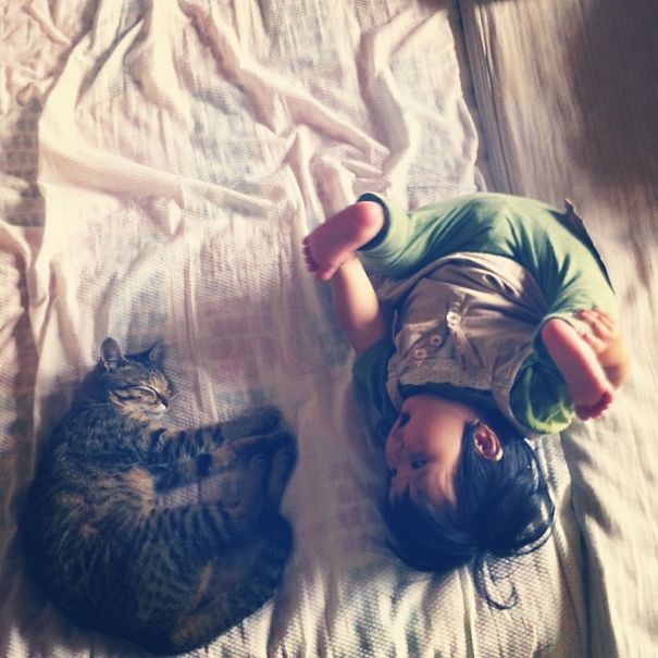 This Japanese Cat Is The Best Sleeping Buddy For His Baby Hoomins This Japanese Cat Is The Best Sleeping Buddy For His Baby Hoomins