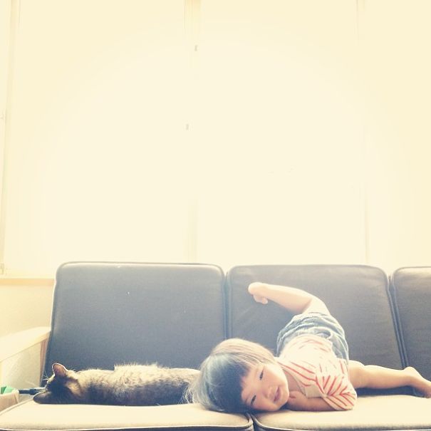 This Japanese Cat Is The Best Sleeping Buddy For His Baby Hoomins This Japanese Cat Is The Best Sleeping Buddy For His Baby Hoomins