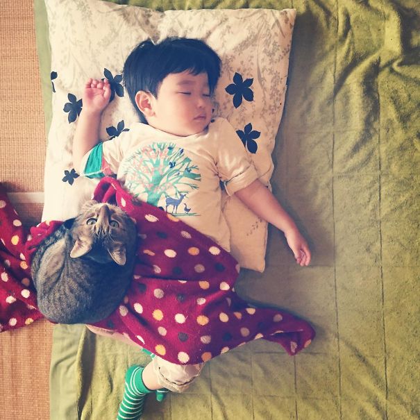 This Japanese Cat Is The Best Sleeping Buddy For His Baby Hoomins