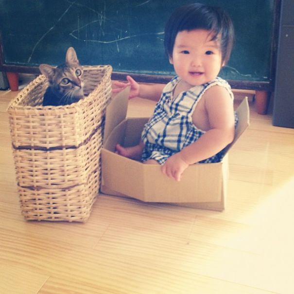 This Japanese Cat Is The Best Sleeping Buddy For His Baby Hoomins This Japanese Cat Is The Best Sleeping Buddy For His Baby Hoomins