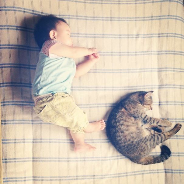 This Japanese Cat Is The Best Sleeping Buddy For His Baby Hoomins