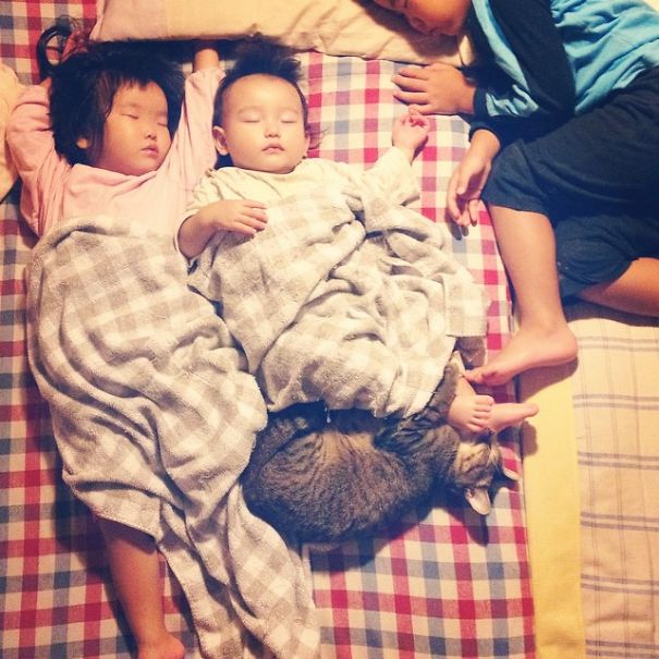 This Japanese Cat Is The Best Sleeping Buddy For His Baby Hoomins