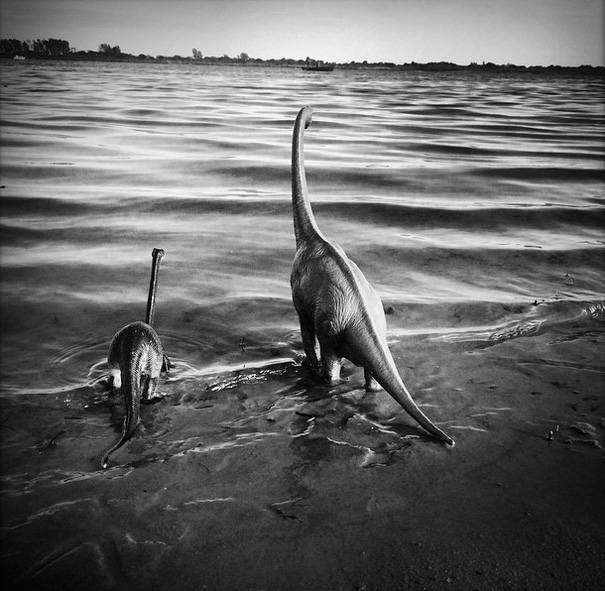 travel-photography-dinosaur-toys-dinodinaseries-jorge-saenz-166 travel-photography-dinosaur-toys-dinodinaseries-jorge-saenz-166